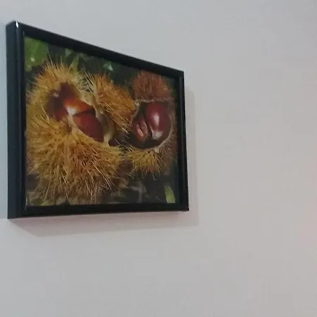 Apartamento Azibo